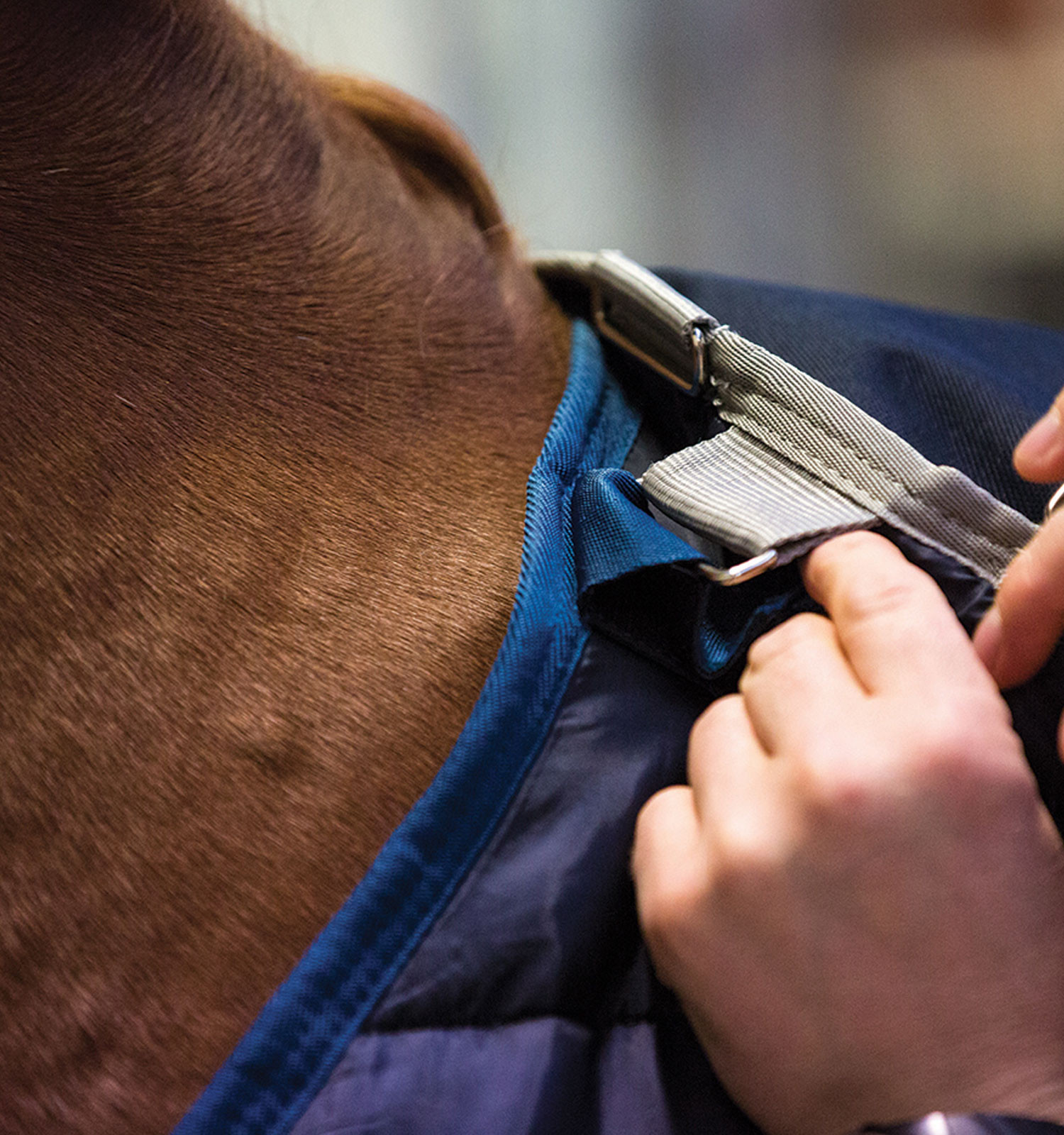 Liner Horseware® 200g Marinho / marinho Azul