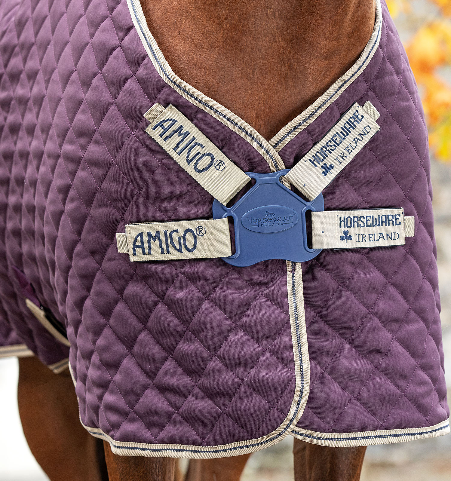 Cobertura de box Horseware Amigo Plus Disco 200g Figo / marinho Violeta