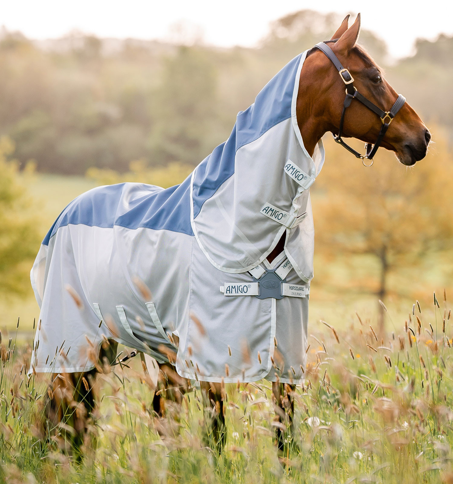 Capa anti-moscas Horseware Amigo AmECO Combi 0g Verde-azulado / cinza Capa anti-moscas Horseware Amigo AmECO Combi 0g Verde-azulado / cinza