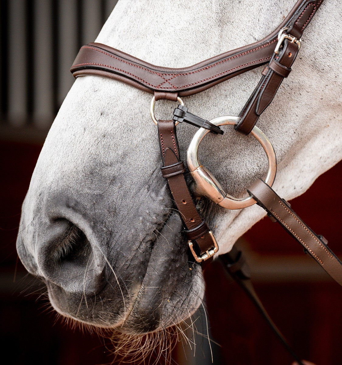 Bridon Horseware Micklem 2 Competição Rambo Havana escuro Castanho