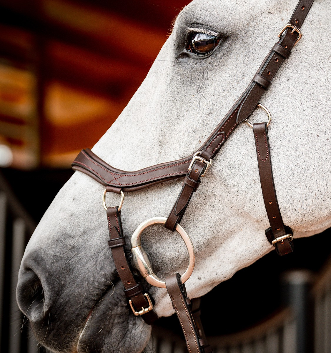 Bridon Horseware Micklem 2 Competição Rambo Havana escuro Castanho