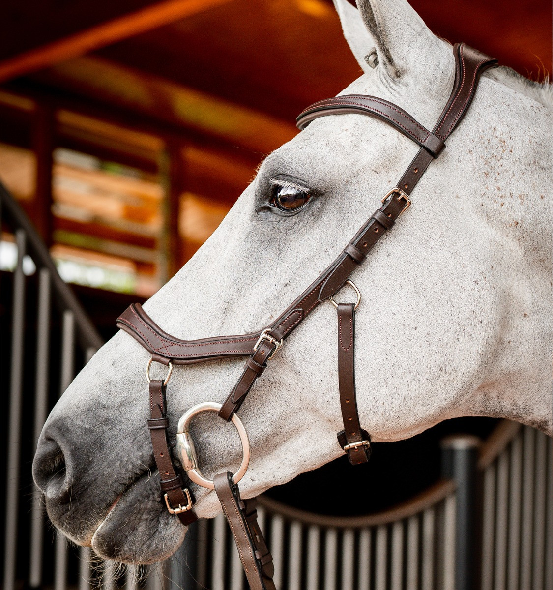 Bridon Horseware Micklem 2 Competição Rambo Havana escuro Castanho