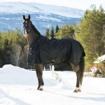 Cobertura para exterior Horze Nevada 200 g