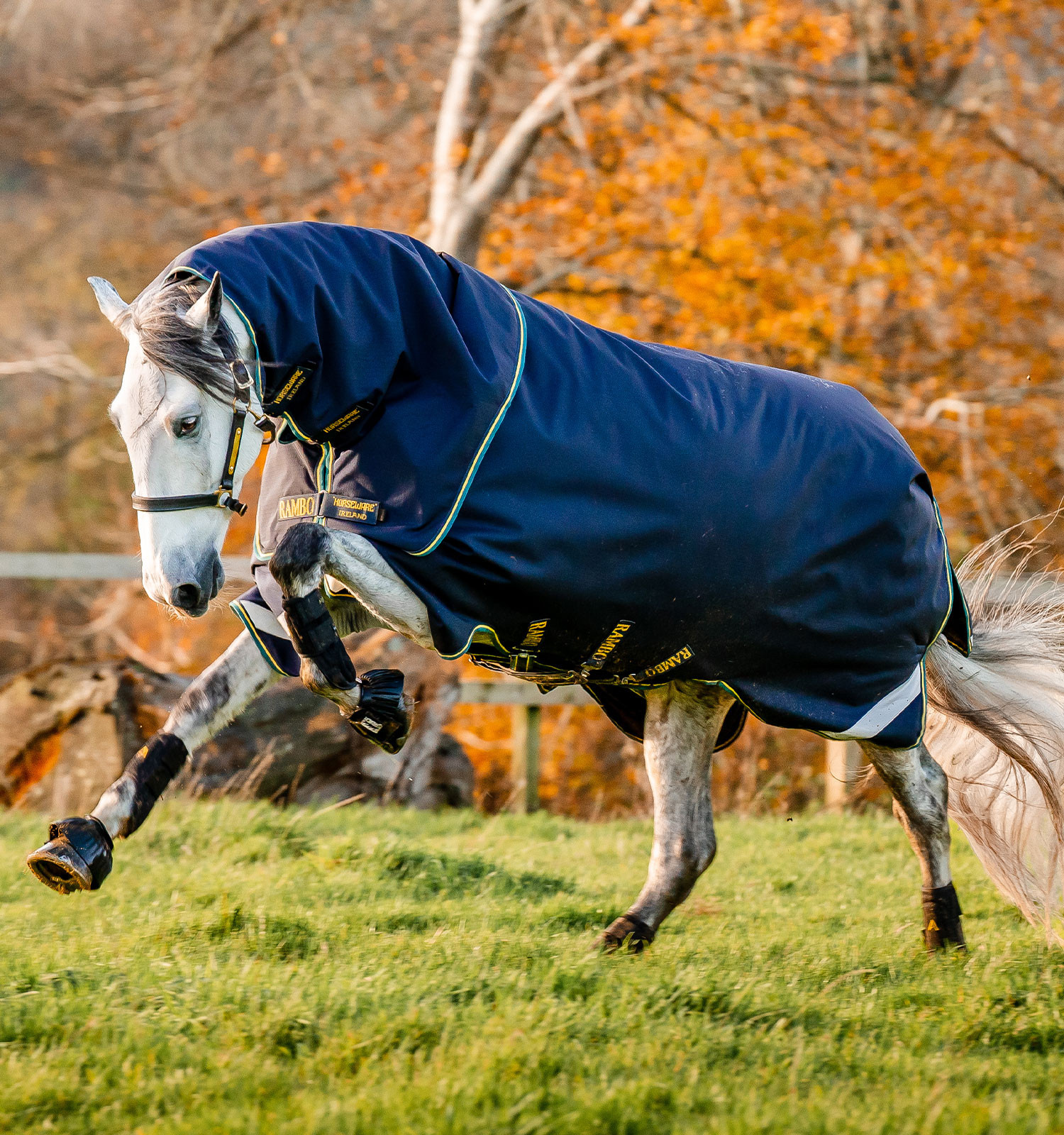 Couverture Horseware Rambo Duo Force 2.0 100 g avec liners 100 et 300 g Couverture Horseware Rambo Duo Force 2.0 100 g avec liners 100 et 300 g