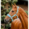 Cabresto Horseware de escovagem Signature - Bruma azul