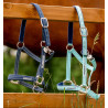 Cabeçada Especial para Pastagem Horseware® Fieldsafe - Névoa azul