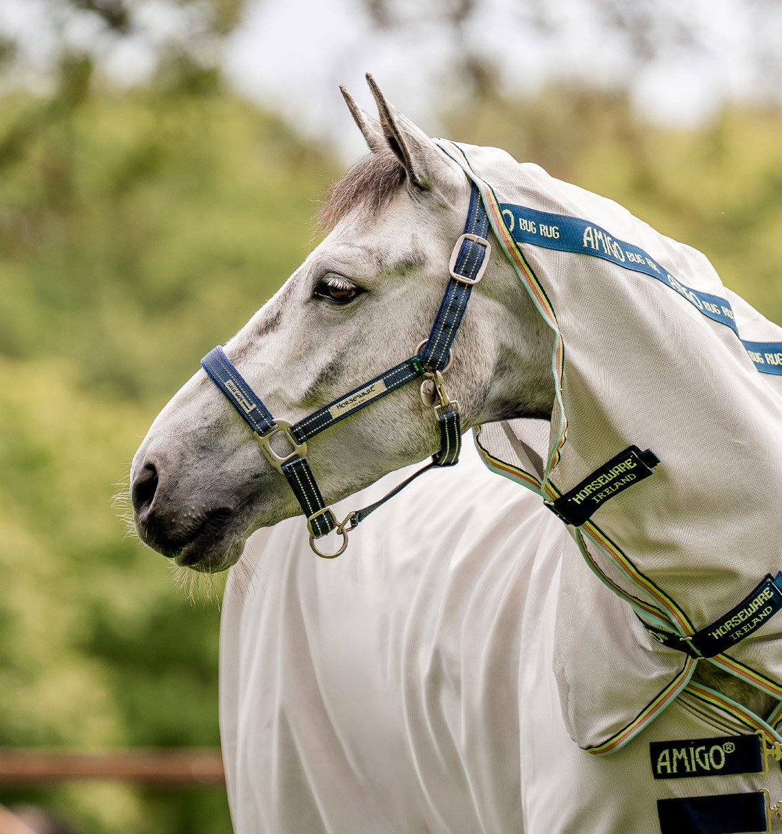 Licol Spécial Pâturage Horseware® Fieldsafe Haze bleu Licol Spécial Pâturage Horseware® Fieldsafe Haze bleu