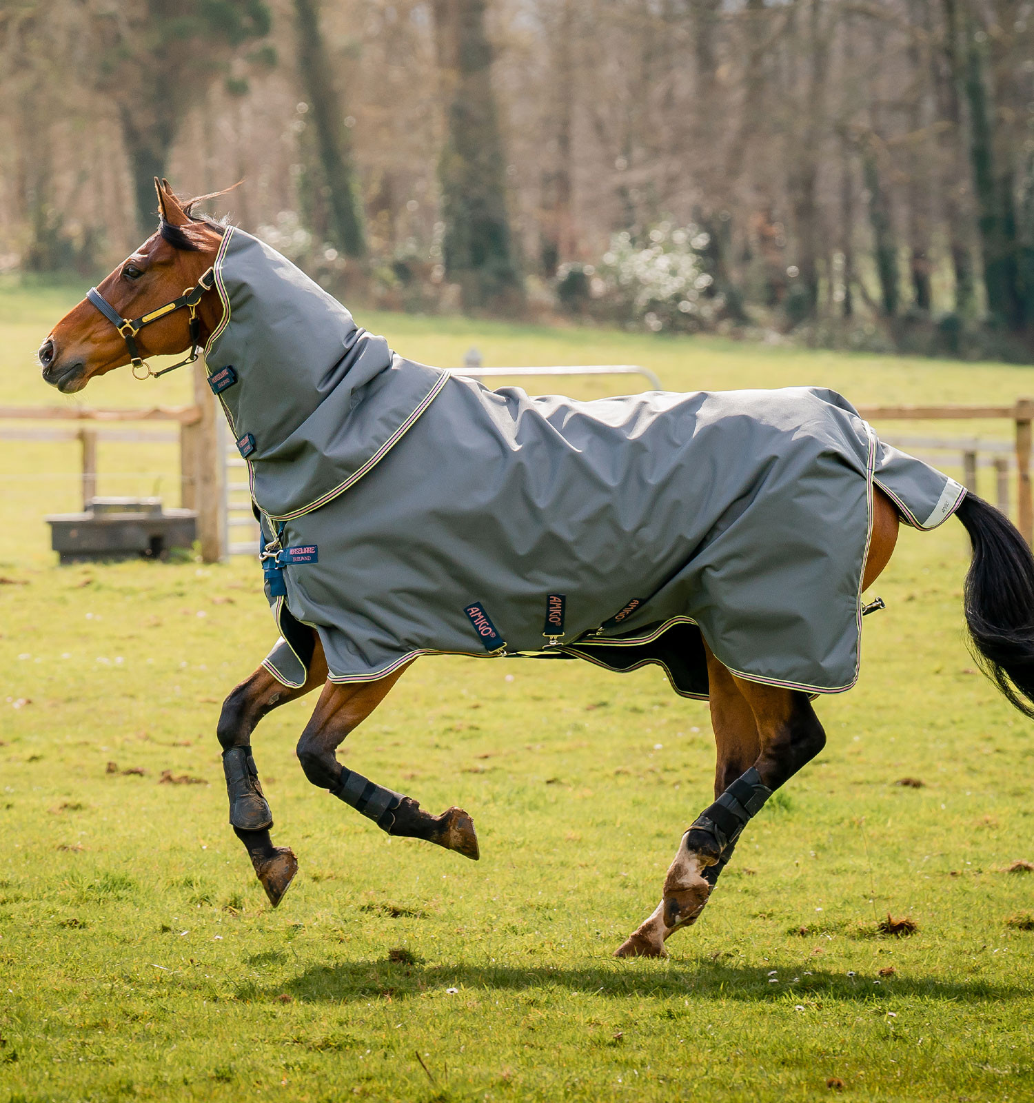 Capa Horseware Amigo 1200D Plus Turnout Bundle 50g 100g e 200g Sombra escura / marinho / rosa Cinzento