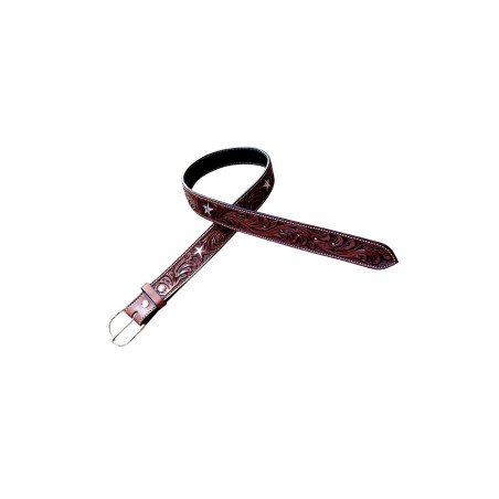 Cinturão Star Pool's