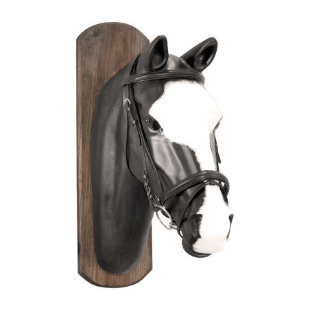 Filete Derby com rédeas de algodão