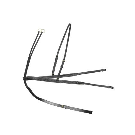 Martingale e peitoral Denver