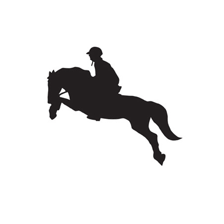 Autocolante carros HKM Jumping 2