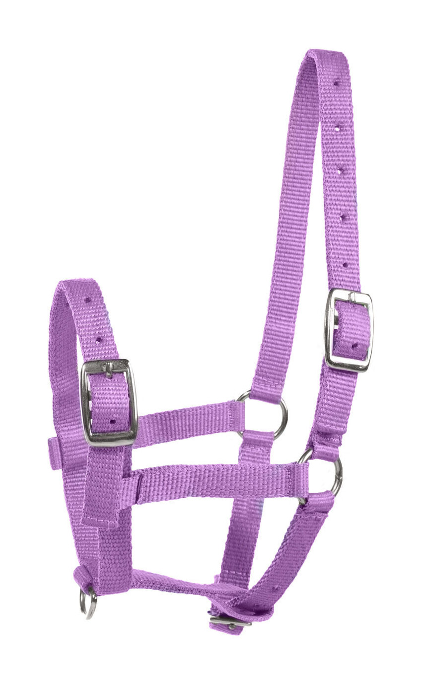 Cabresto para Potro Horze Spirit Azul escuro