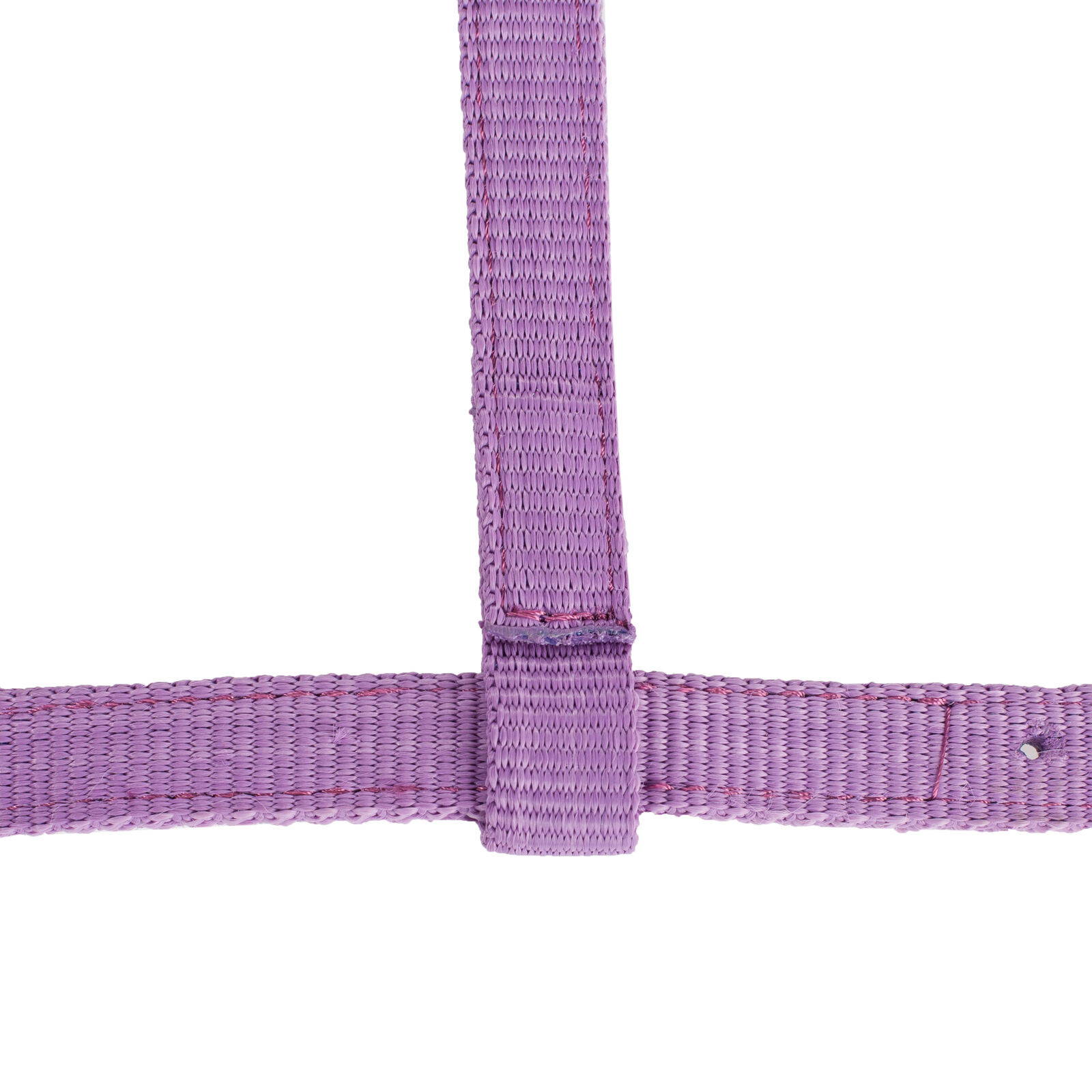 Cabresto para Potro Horze Spirit Azul escuro