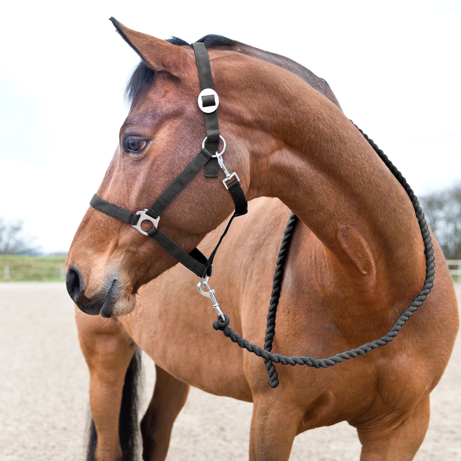 Longe Básica Horze em Algodão Rosa framboesa