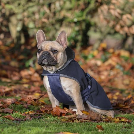 Capa para cão Show-Line Bucas