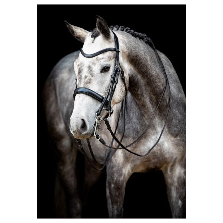 Bridão Montar Normandia couro curtido