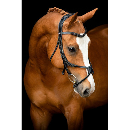 Bridão Montar Lyon 8-Fig couro curtido