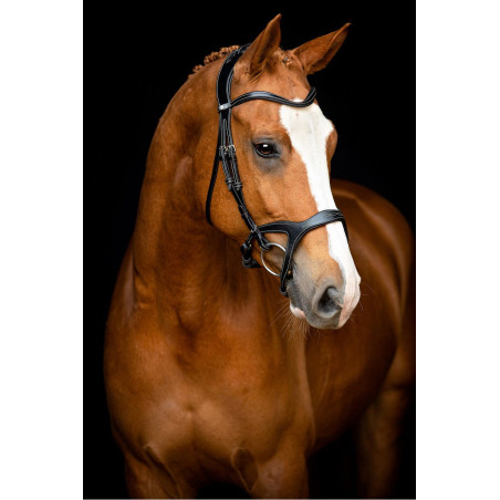 Bridão Montar Monarch couro curtido de forma orgânica