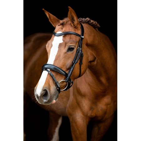 Bridão Montar Normandie couro curtido
