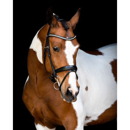 Bridão Montar cabeçada Anatômica Fair