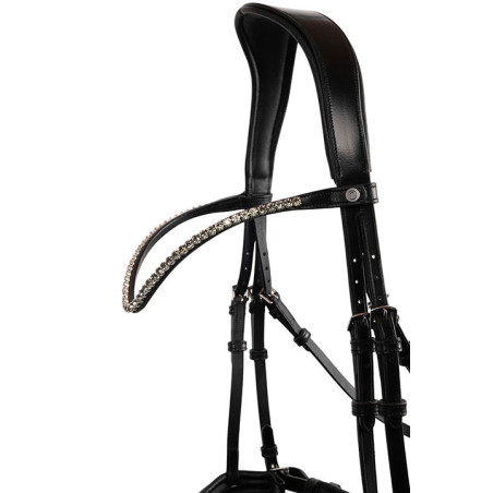 Frontal Montar Fair cristal cinza curvado