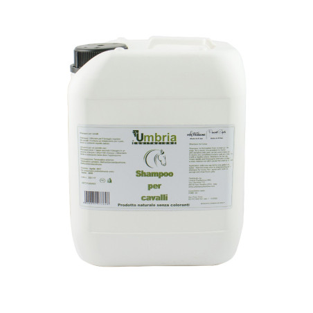 Shampoo para cavalos Ama 5 L Umbria Equitazione