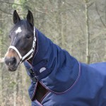 Cobre-pescoço Equithème Tyrex 1200 D 0g