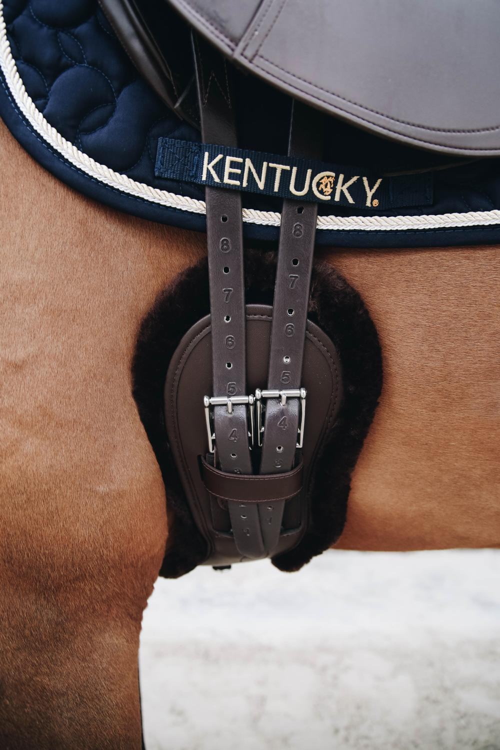 Ovelha removível para Cinturão Anatômico curto Kentucky Castanho Ovelha removível para Cinturão Anatômico curto Kentucky Castanho