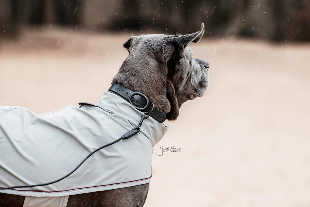 Laisse Soft Rubber Kentucky Laranja néon