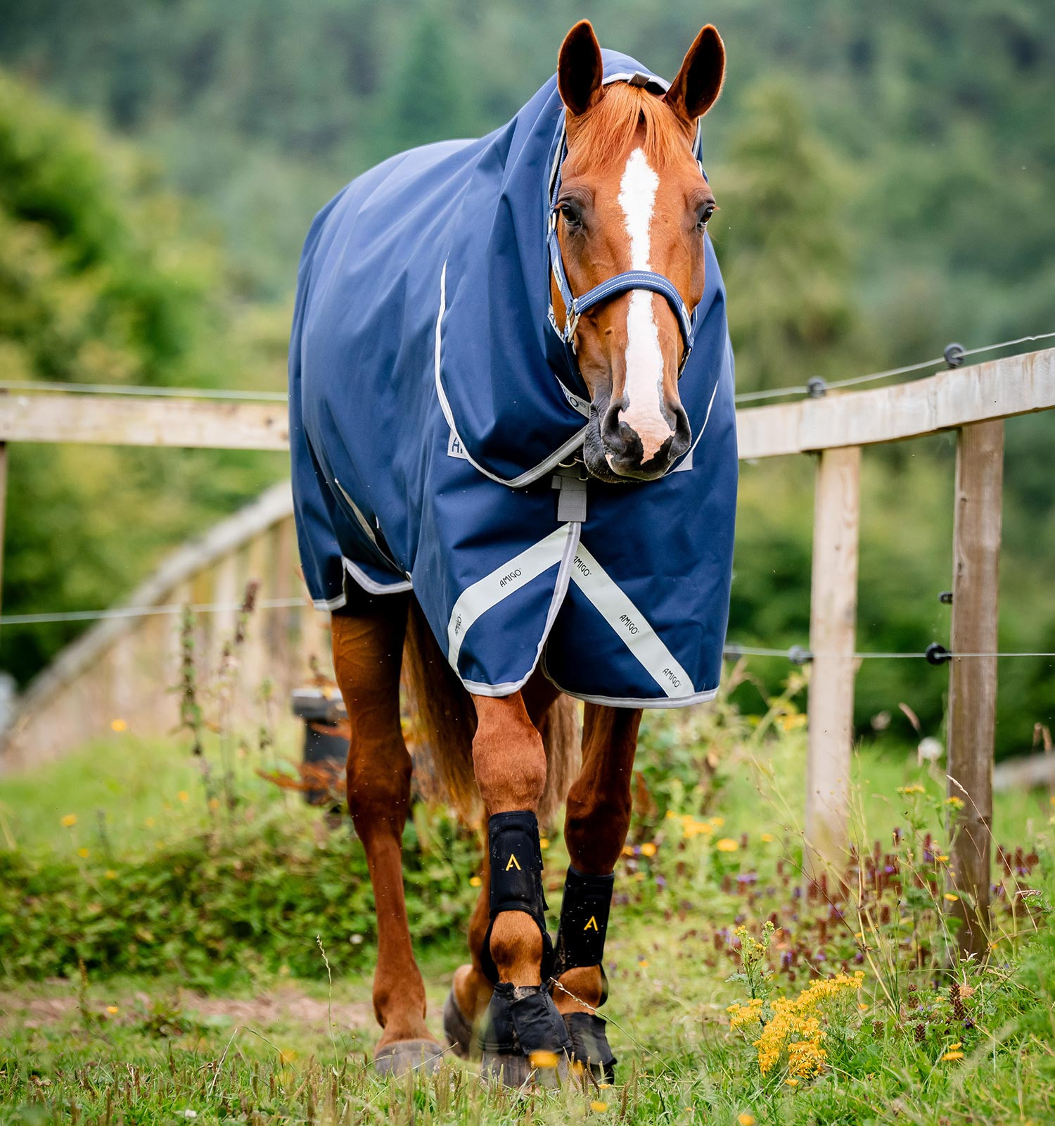 Capa Horseware Amigo 1200D Plus Turnout Bundle 50g 100g e 200g Marinho / cinza titânio / prata Azul-marinho