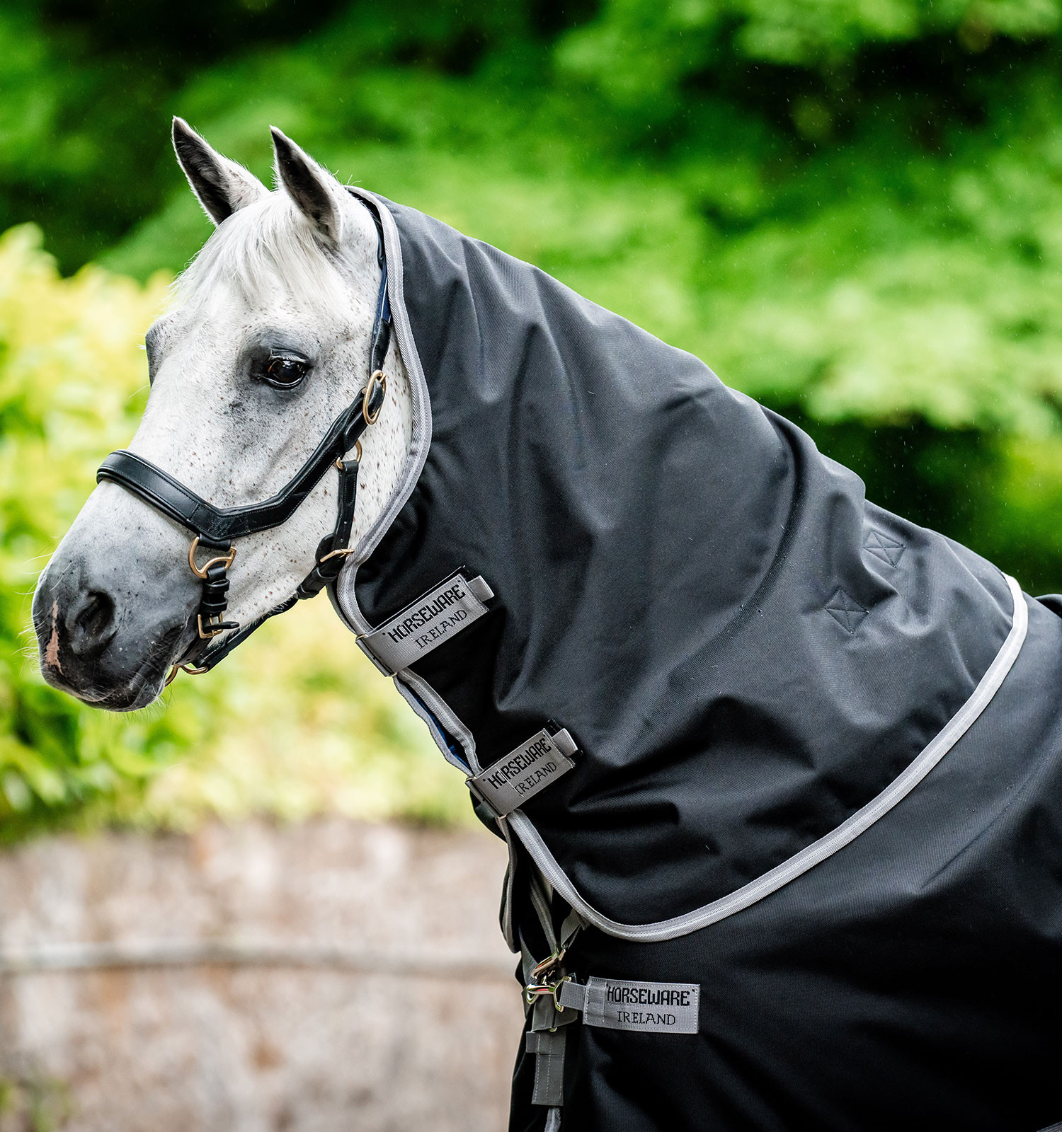 Capa Horseware Amigo 1200D Plus Turnout Bundle 50g 100g e 200g Sombra escura / marinho / rosa Cinzento