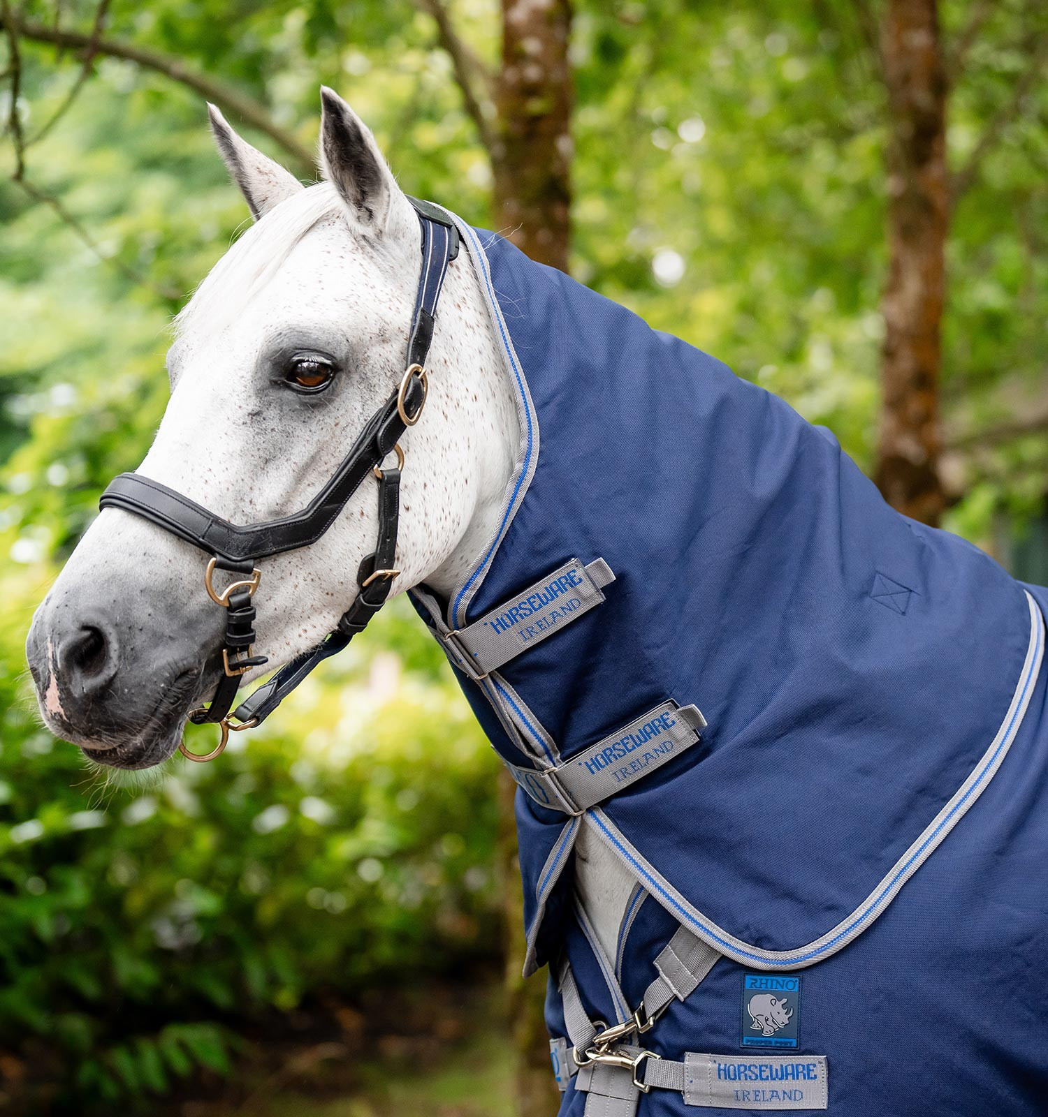 Capa de exterior Horseware Rhino® Plus Pónei 250g Preto / cinza titânio / azul clássico