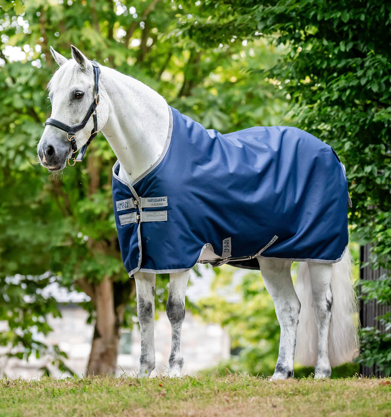 Capa Amigo Ripstop Horseware 900D Turnout forrada com polar 50g Marinho / cinza titânio Azul-marinho