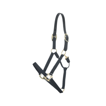 Cabezada de Nylon Breakaway Kentucky