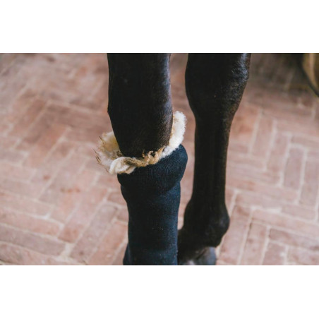 Lã terapêutica 150g Grooming Deluxe by Kentucky