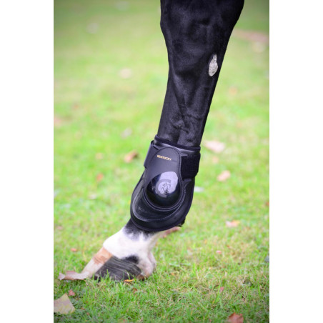 Protetor de boleto Deep para cavalos jovens Kentucky