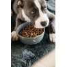 Tigela para cão Bamboo Terrazzo Kentucky - Cinzento