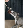 Brinquedo para cão Corda de Algodão Baseball Kentucky - Castanho