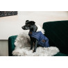 Casaco para cão Pearls Kentucky - Marinho