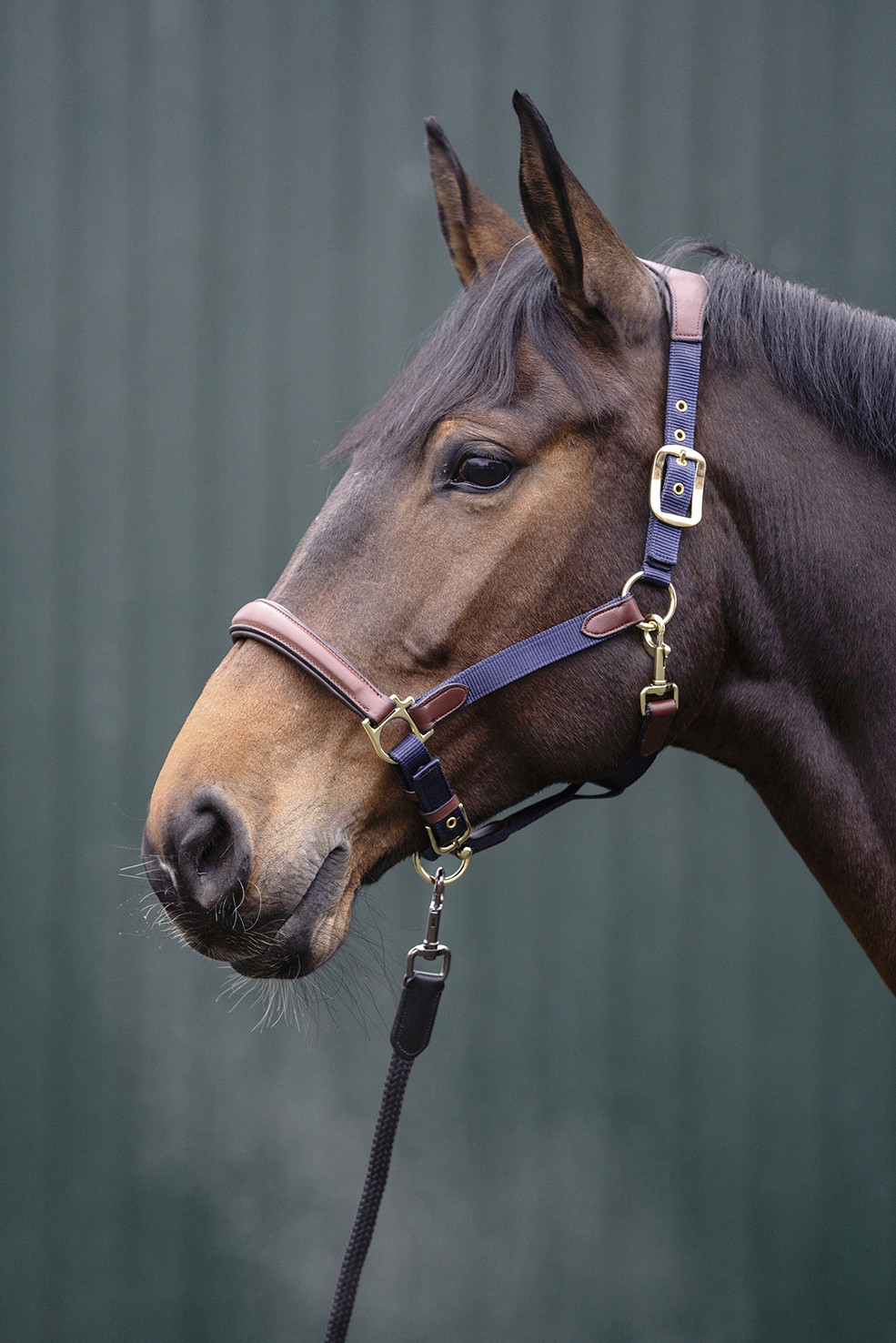 Cabresto Luna couro e nylon HKM Azul escuro / castanho