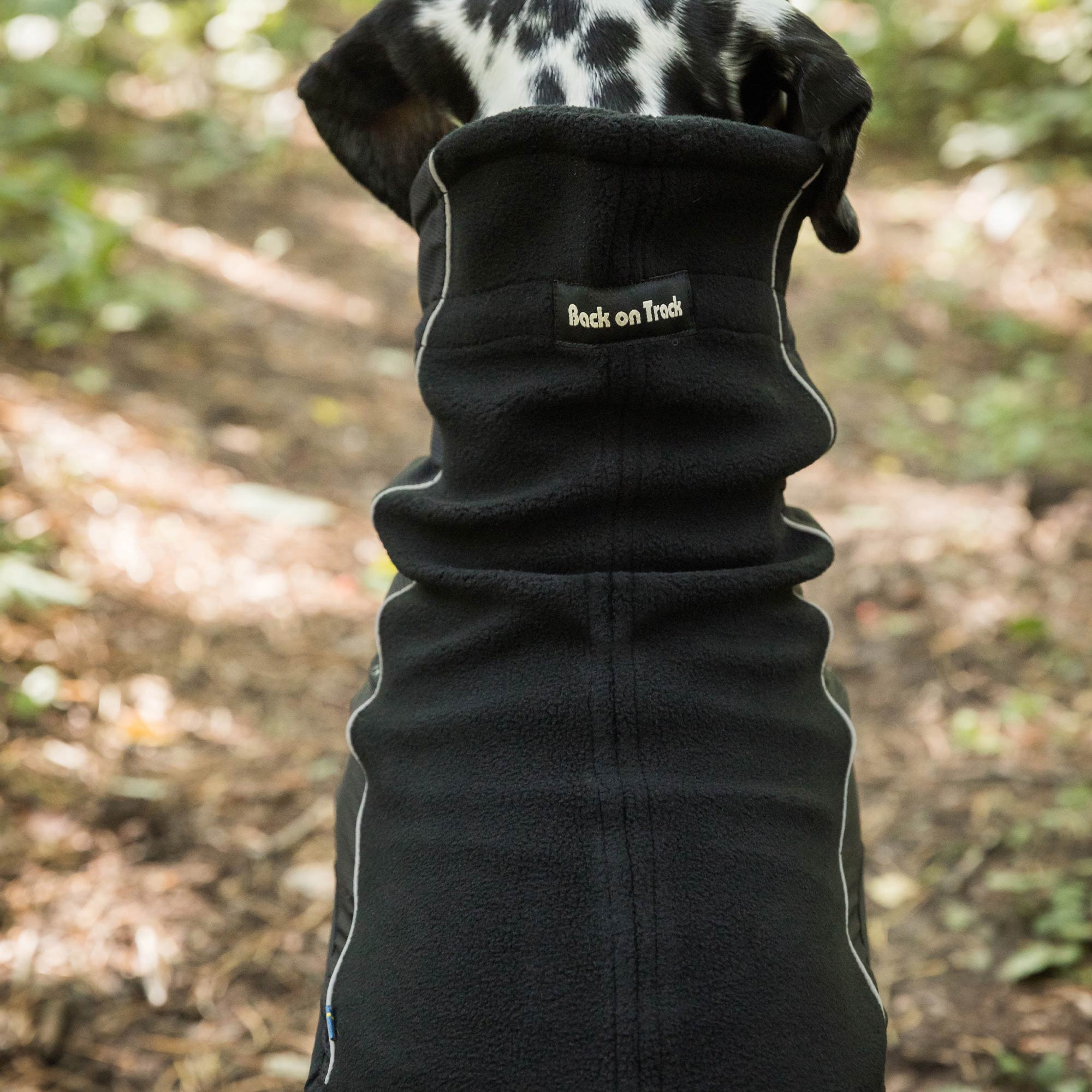 Gola para cão Back on Track Benji Preto Gola para cão Back on Track Benji Preto