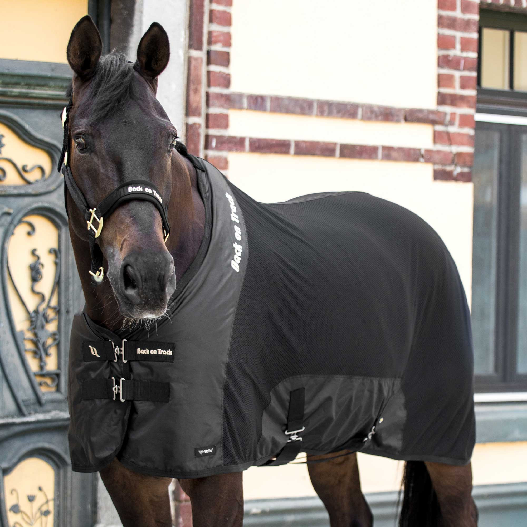 Camisa de Rede Deluxe Back on Track Azul