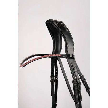 Frontal Montar Fair cristal rosa curvo