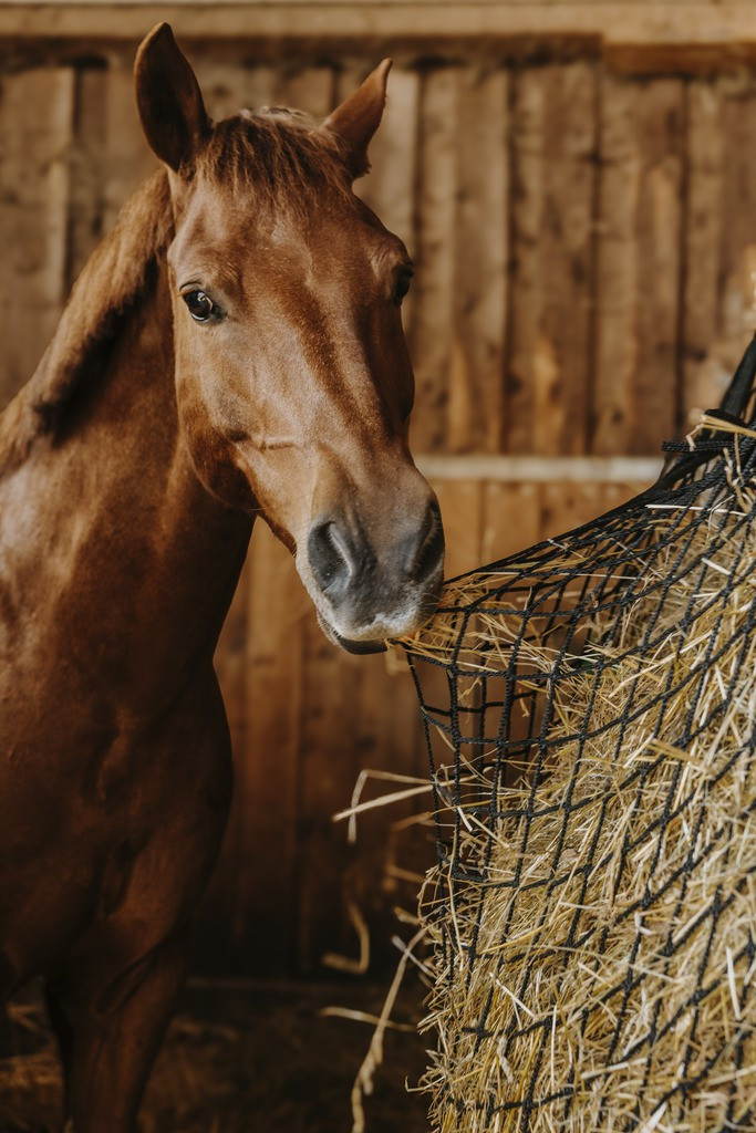 Rede de feno Hippotonic Retangular Preto