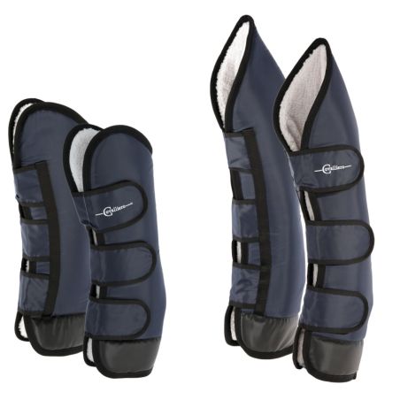 Guinchos de transporte Dexter Covalliero