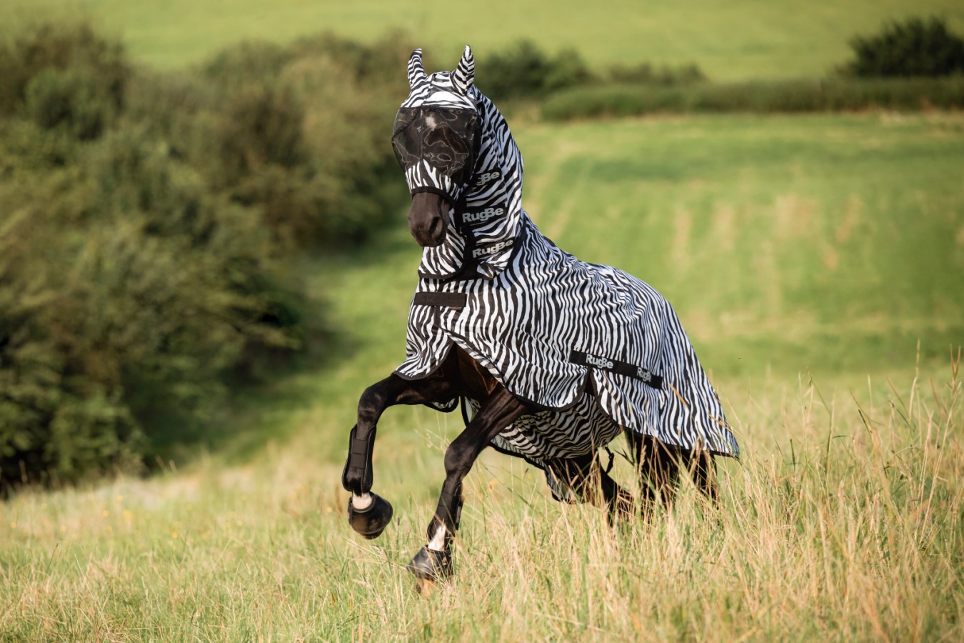 Máscara de proteção contra moscas Zebra com proteção para as orelhas Covalliero Zebra Motivos