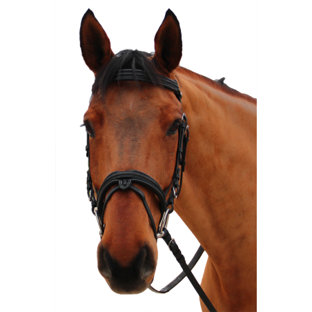 Bridão Canter Mylord