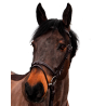 Bridon Canter Club - Castanho