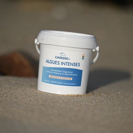 Algas Premium Intense Cavasso